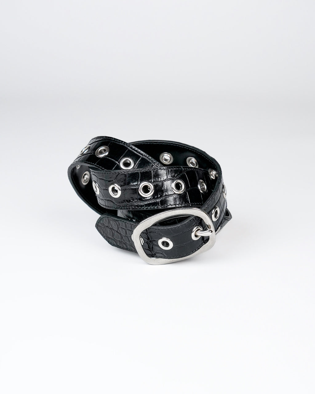 Orbit Belt in Black Croc