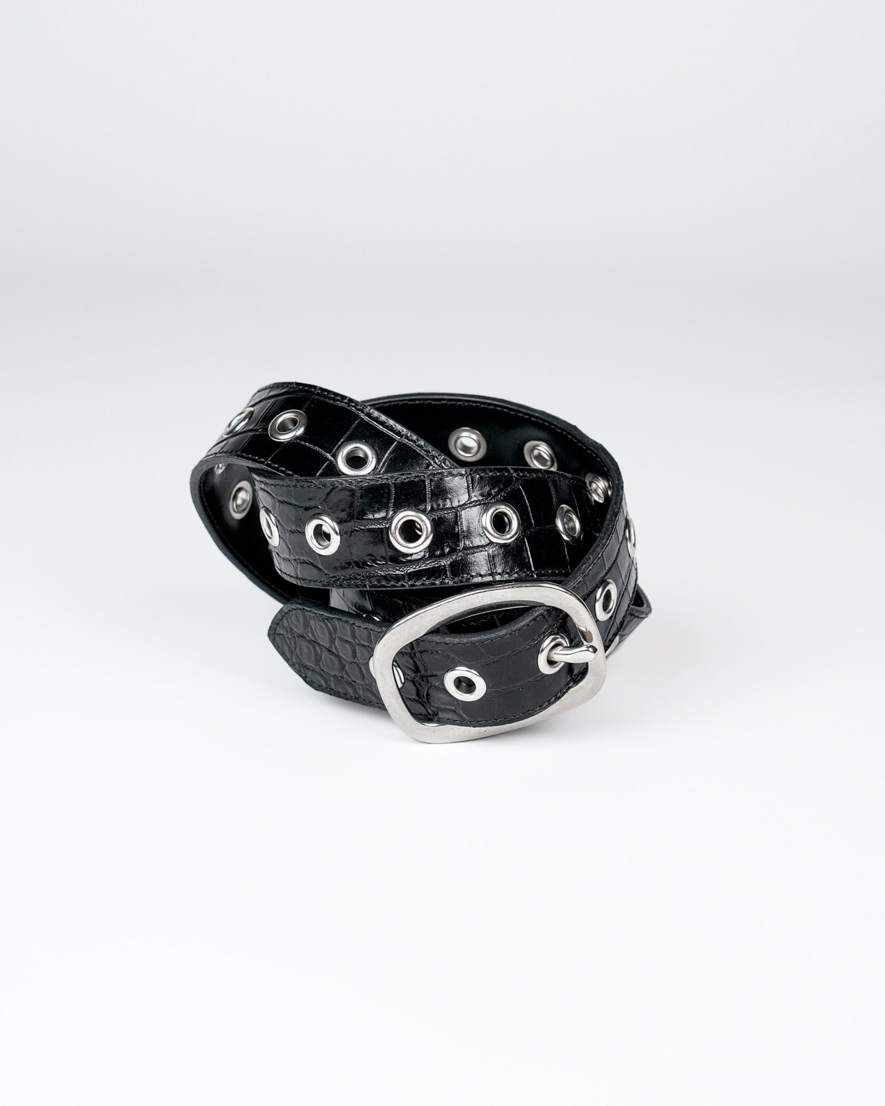 Orbit Belt in Black Croc