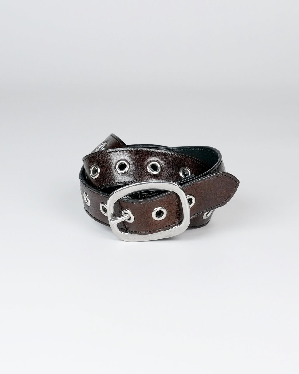 Orbit Belt in Dark Brown