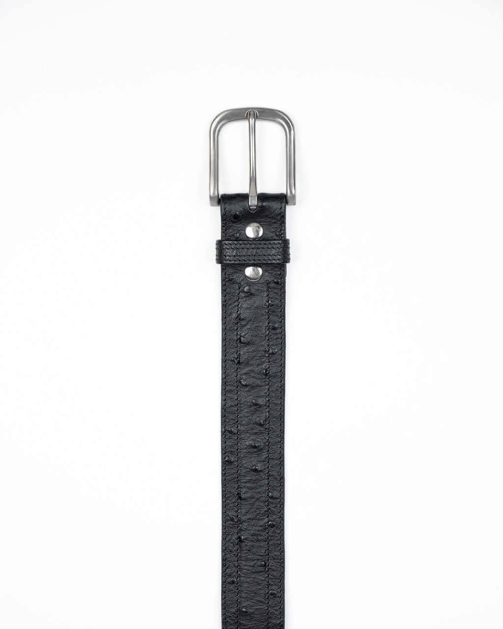 Core Belt in Black Ostrich
