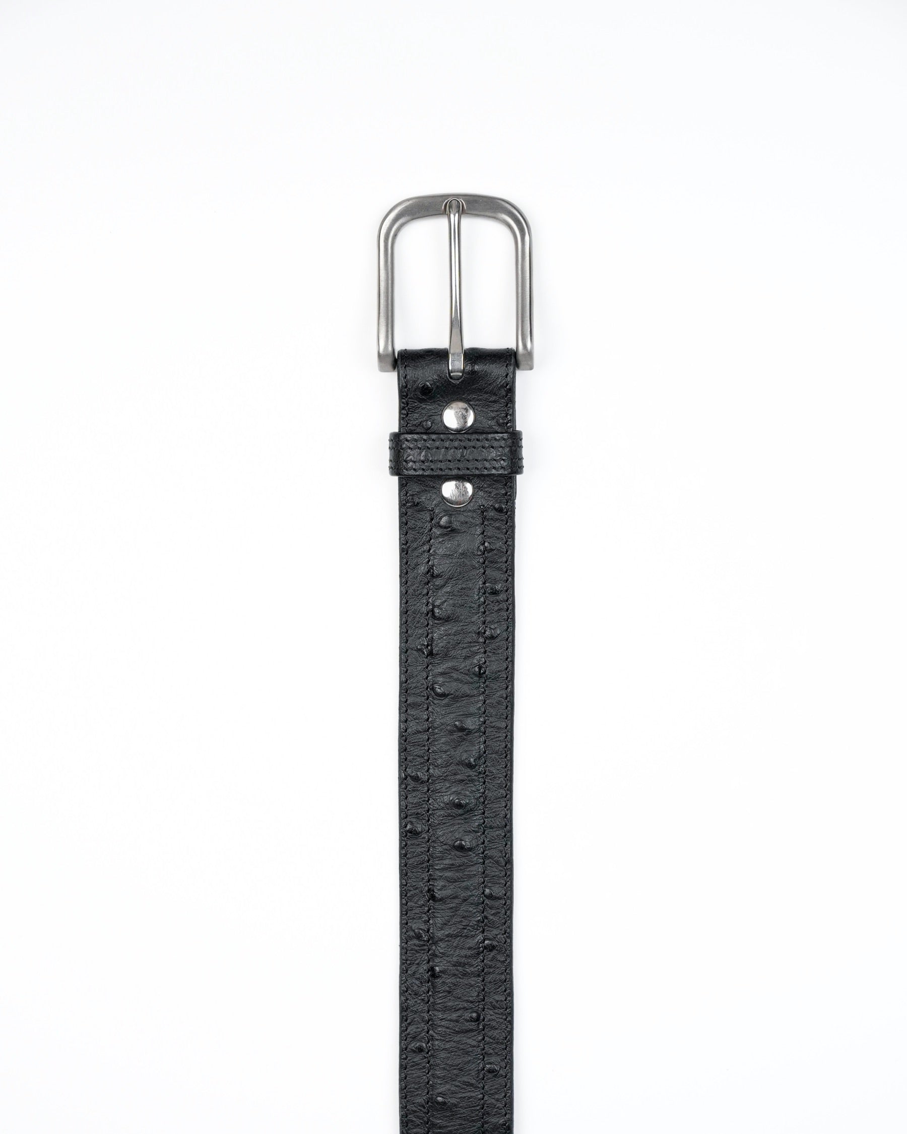 Core Belt in Black Ostrich