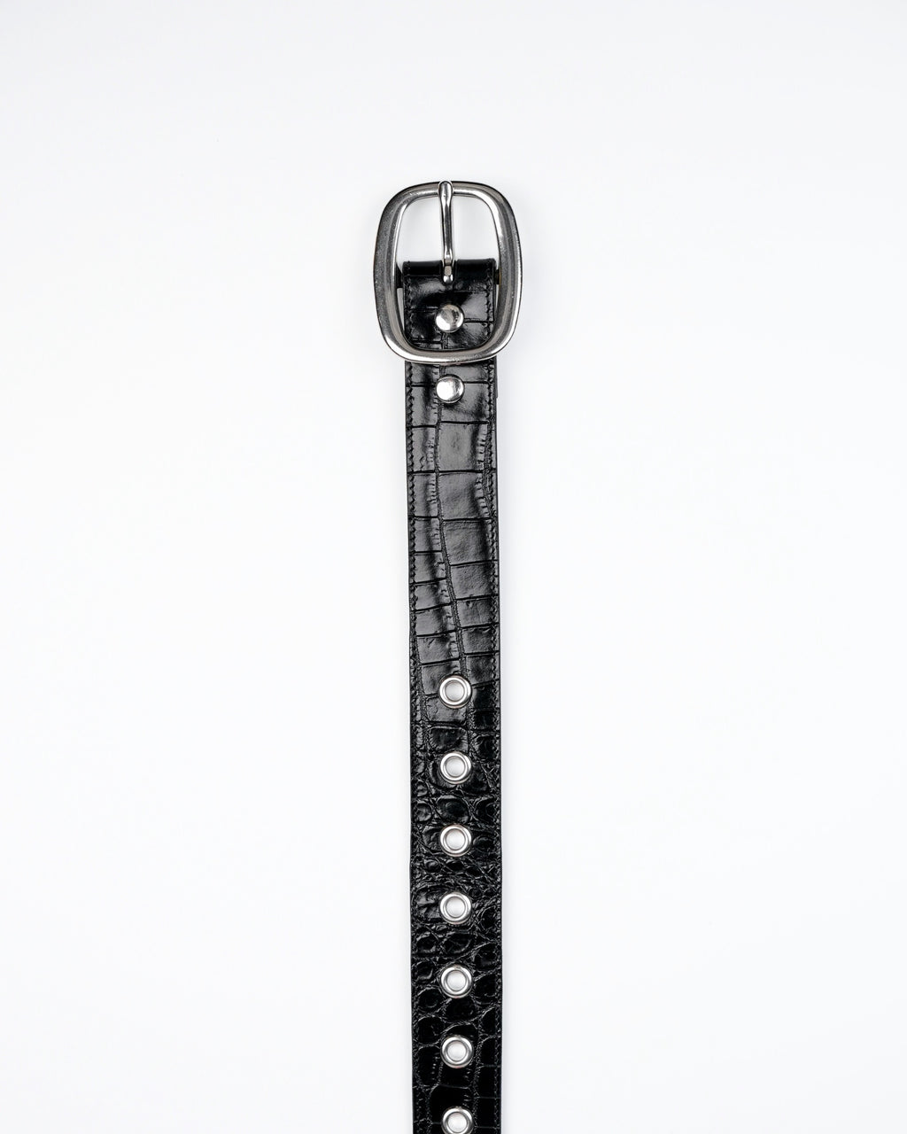 Orbit Belt in Black Croc