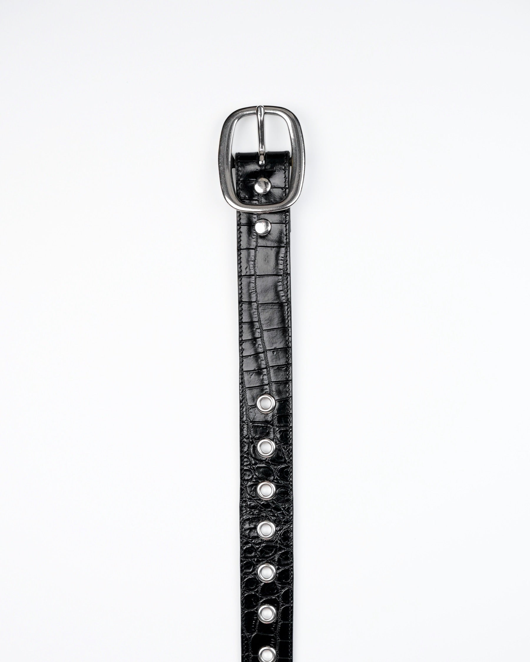 Orbit Belt in Black Croc