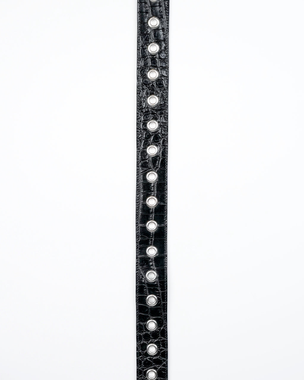 Orbit Belt in Black Croc
