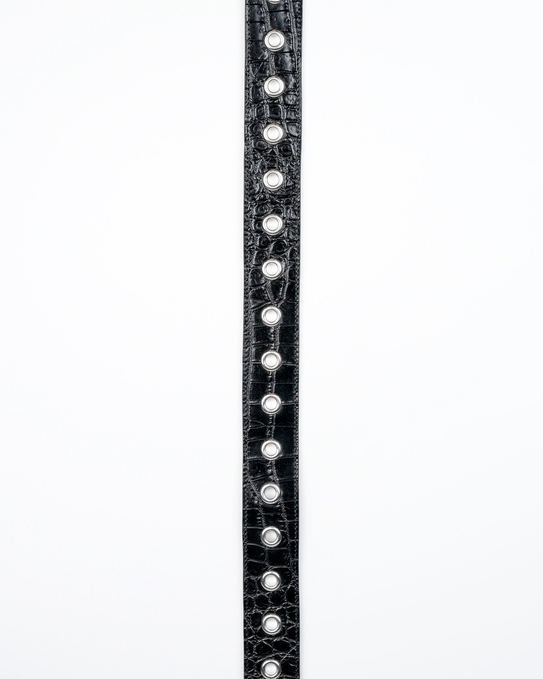 Orbit Belt in Black Croc