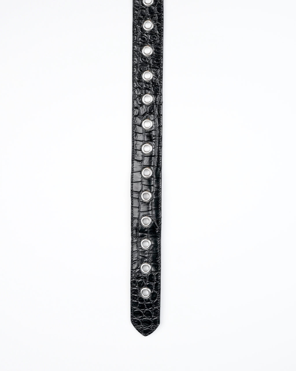 Orbit Belt in Black Croc