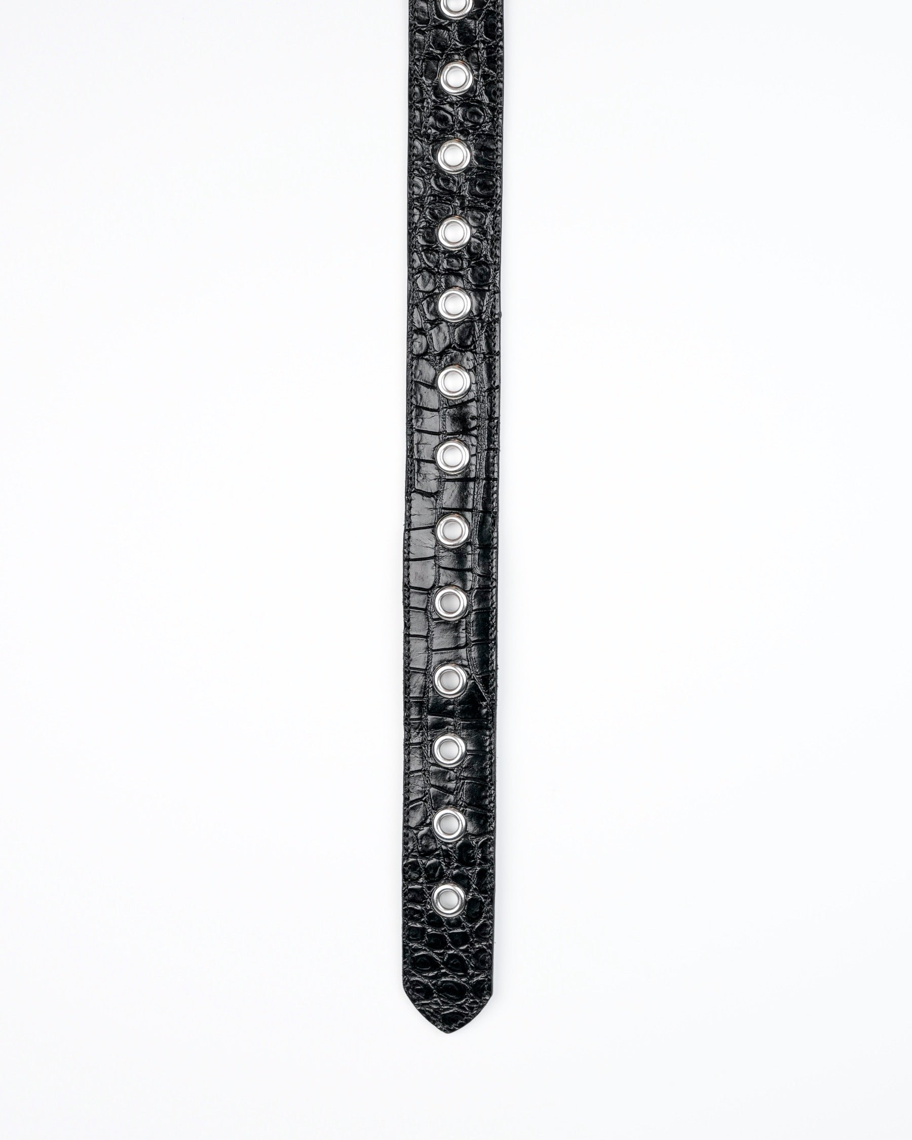 Orbit Belt in Black Croc