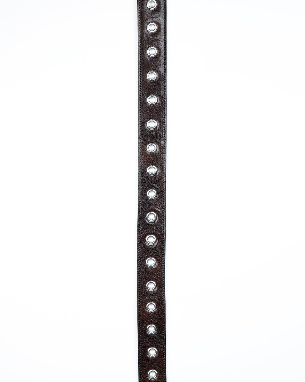 Orbit Belt in Dark Brown