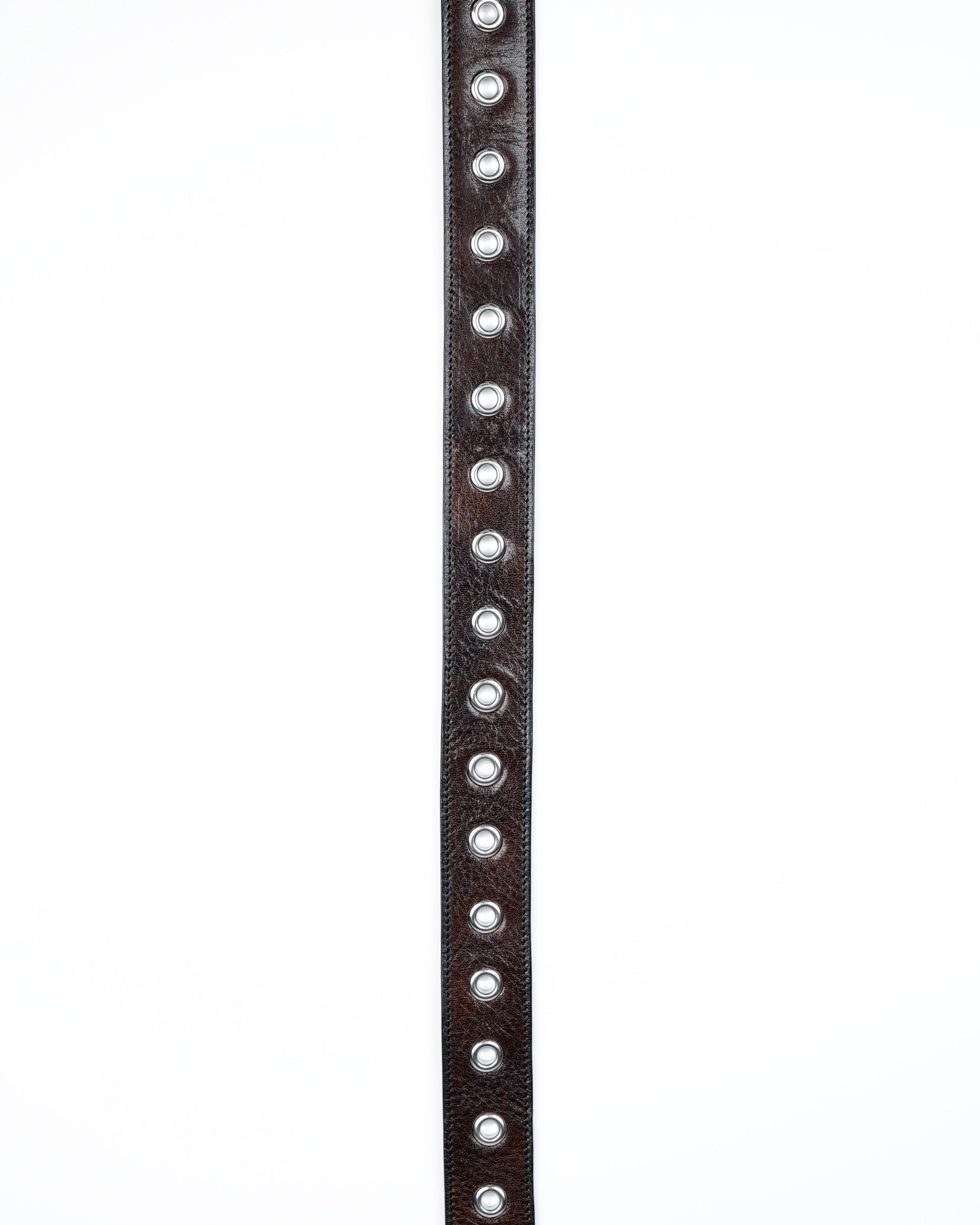 Orbit Belt in Dark Brown