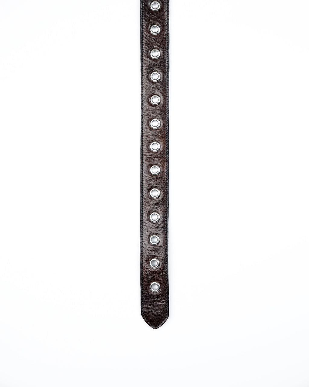Orbit Belt in Dark Brown