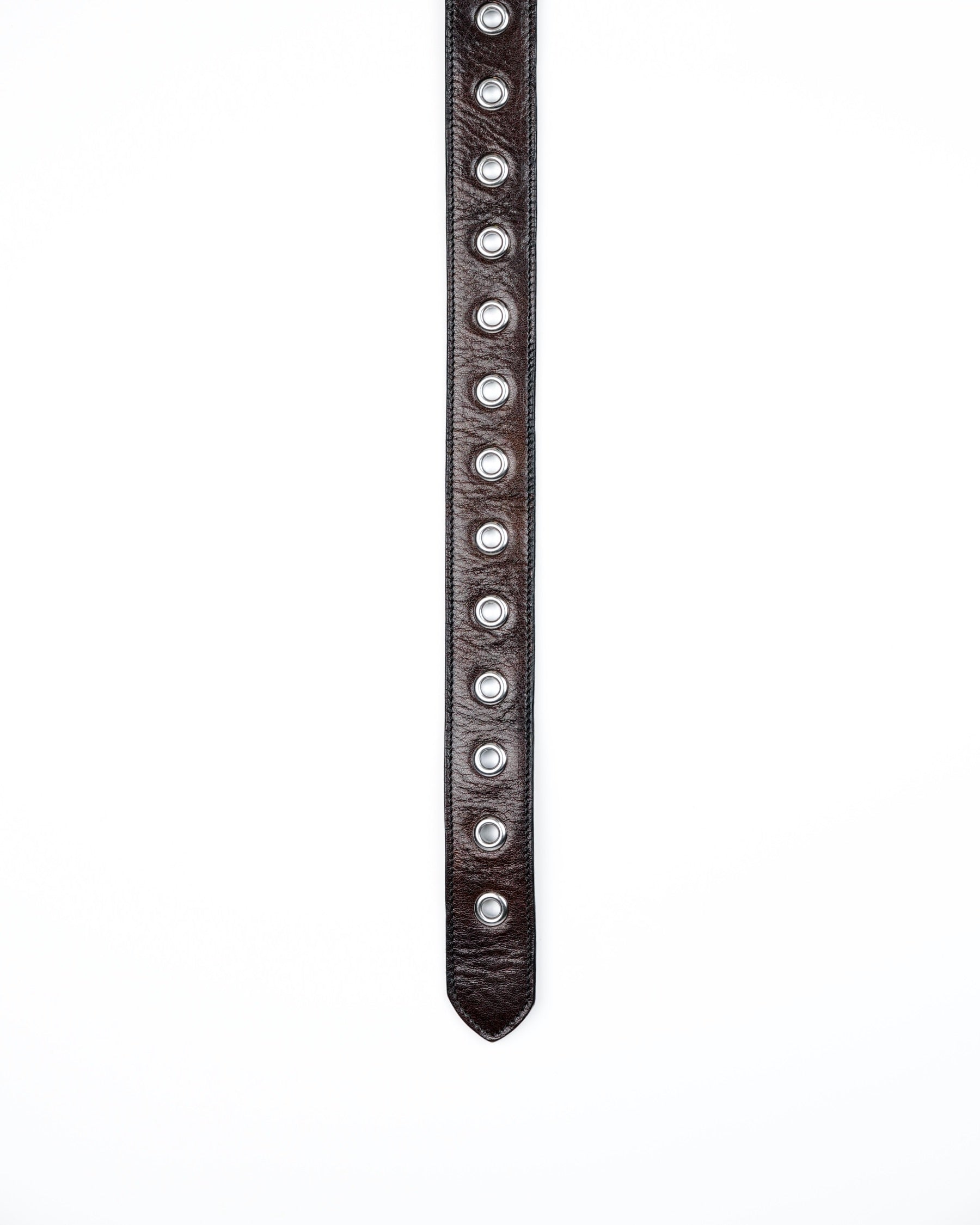 Orbit Belt in Dark Brown