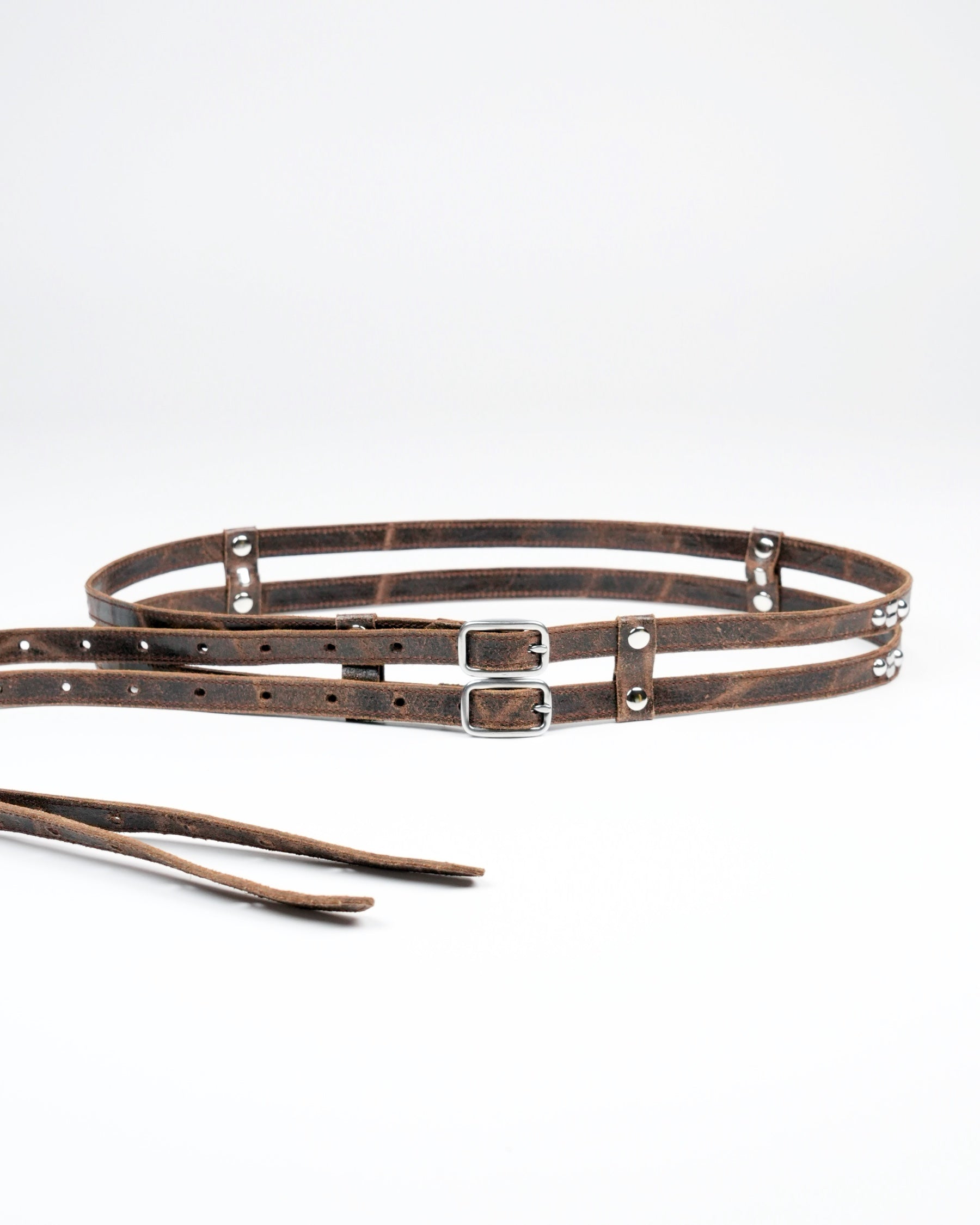 Twin Belt in Brown