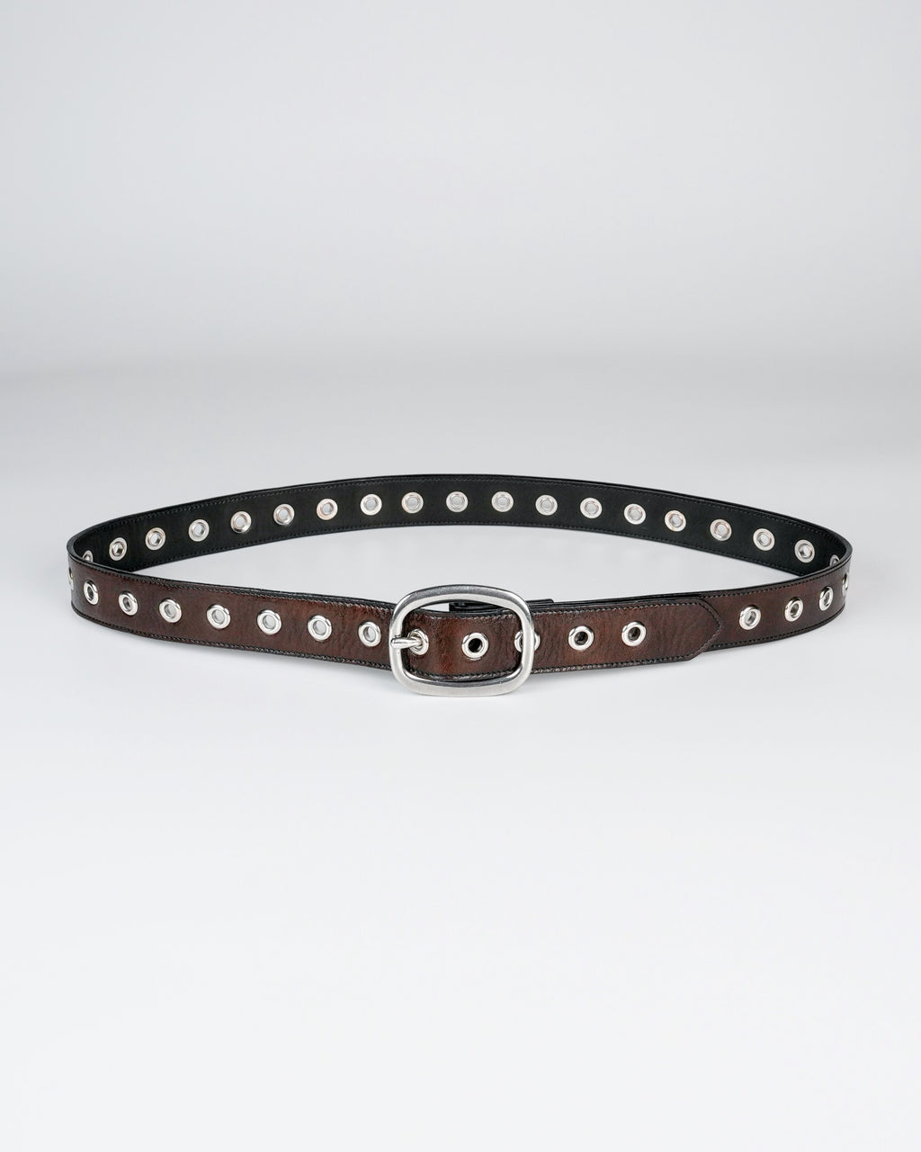 Orbit Belt in Dark Brown
