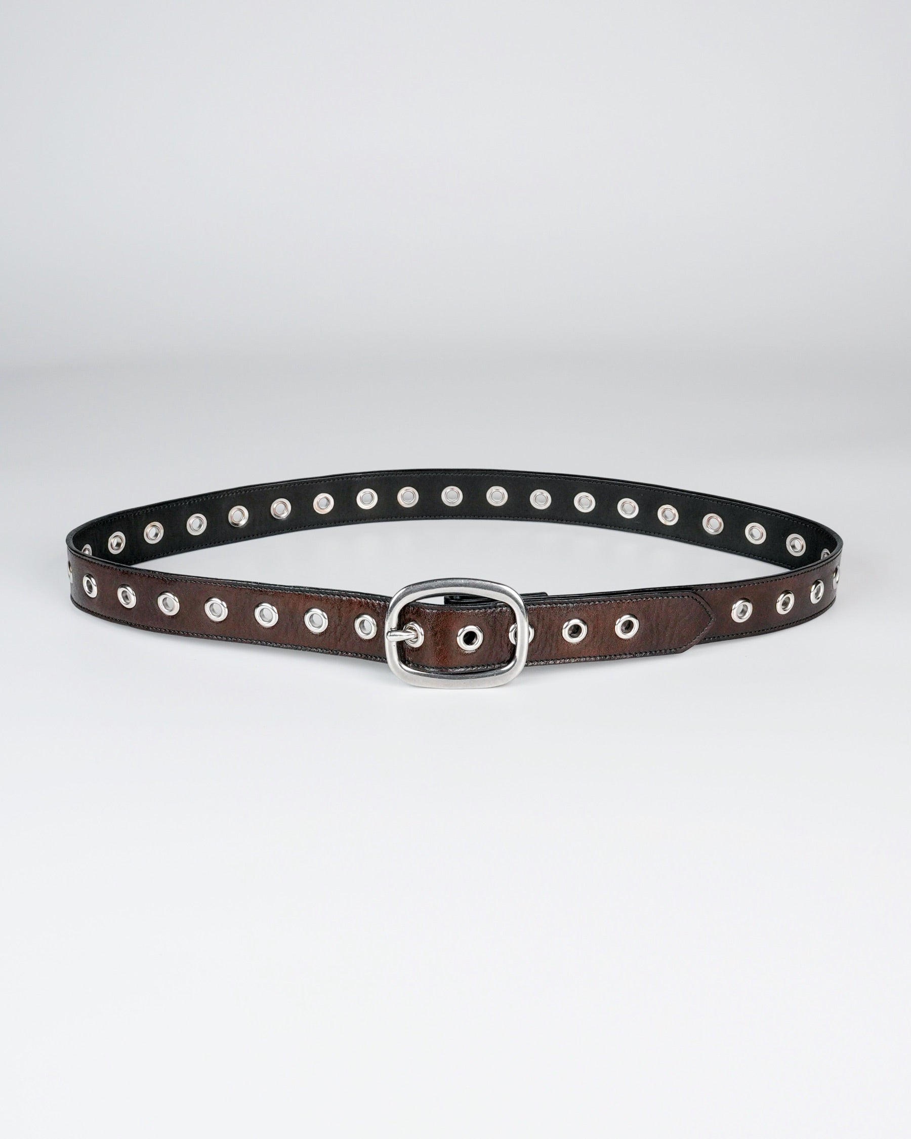 Orbit Belt in Dark Brown
