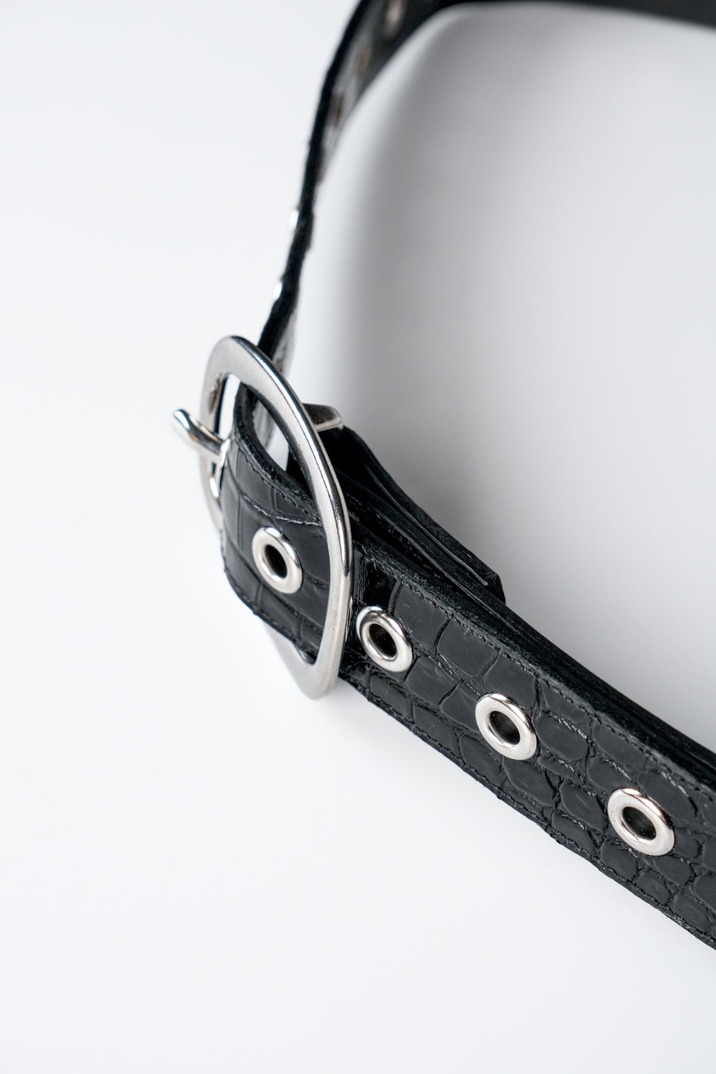 Orbit Belt in Black Croc